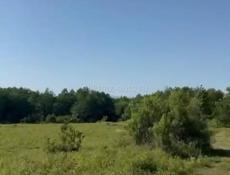 Продается три гектара в с Дранда