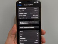 12 Pro Max 256Gb 🔋100%