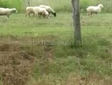 Все вопросы по телефону 