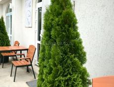 Аренда помещения