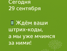 Грузовики 