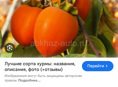 Продам ахурму разно Видия 