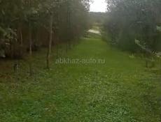 с Бедиа