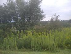 Участок 6 соток