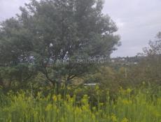 Участок 6 соток