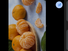 Куплю мандарины 