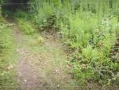 УЧАСТОК 25 СОТОК КЫНДЫГ С ВЕТХИМ СТРОЕНИЕМ 