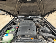Nissan Safari