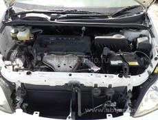 Toyota Ipsum