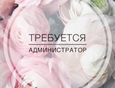 Требуется администратор "Службы приема и размещения "на круглый год, г.Гагра