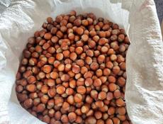 Орех 🌰 