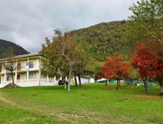 Присмотр за домом в Ачандаре