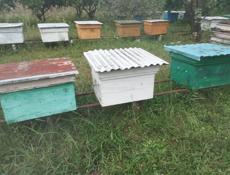 Продам ульи!