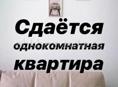 Сдам квартиру до лета 