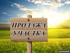 1 гектар