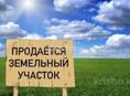 12 сотек