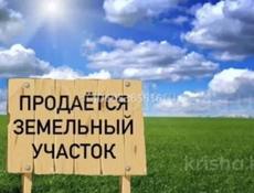 12 сотек