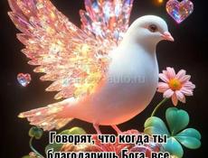 Семья ищет четырёхкомнатную квартиру