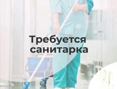 Требуется санитарка.