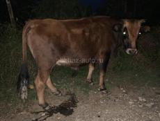 Продам 