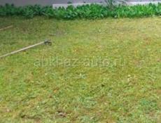 Сдам помещение