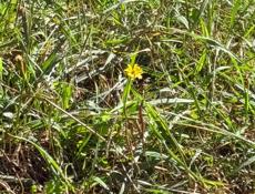 Самая низкая цена. Дом