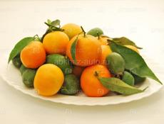 ПРИНИМАЕМ 🍊 🍊 🍊 