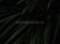 В поисках работы