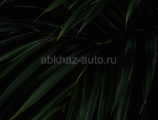 В поисках работы 
