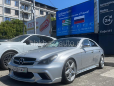 Фары на цлс 219