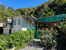 Продаётся частный дом с готовым бизнесом в живописной Абхазии, район Синоп — всего в 700 метрах от моря.