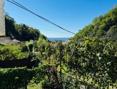 Продаётся частный дом с готовым бизнесом в живописной Абхазии, район Синоп — всего в 700 метрах от моря.