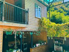 Продаётся частный дом с готовым бизнесом в живописной Абхазии, район Синоп — всего в 700 метрах от моря.