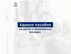 Пособия, самозанятость