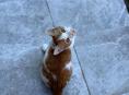 Котенок в добрые руки (мальчик)