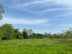 1гектар