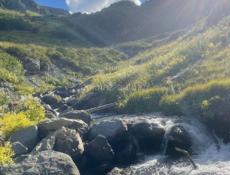 Сниму дом.  Квартиру Срочно ,на Мачарке мирхиул 