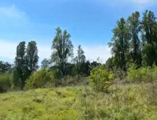 50 соток в курортном районе