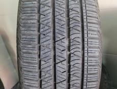 255 50 R19