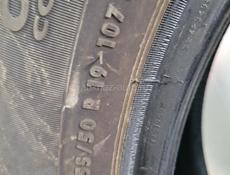 255 50 R19