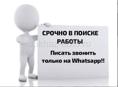 Ищу работу