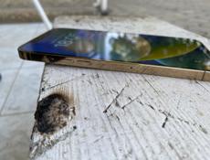 iPhone 12 Pro Max память 256 г 