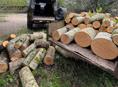 Принимаю на заказ дрова. 1,5-2 куба Цена 10 тысяч рублей.