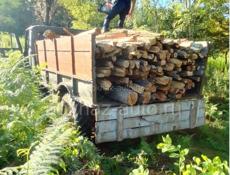 Колышки акация 