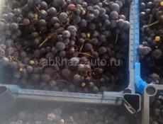 Виноград Изабелла(ахардан)
