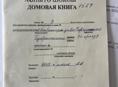 100 соток