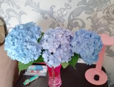 Продам или обмен