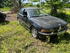 Разбор 7116999