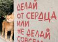 Сниму квартиру