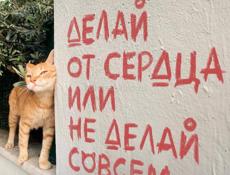 Сниму квартиру